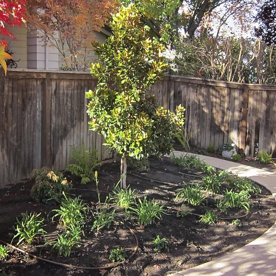 KMRii MAGNOLIA FEATHER BIG STOLE ケムリ LGB 1402-ST02 Magnolia Long Stole 02 | KMRii OFFICIAL ONLINE STORE